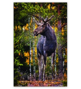 Cakapuzzle Ormandaki Geyik Puzzle Yapboz MDF (Ahşap) (500 Parça)
