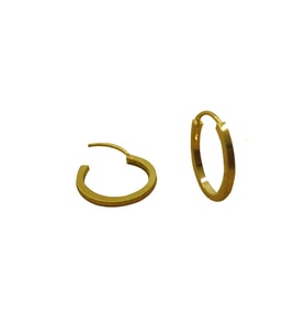 Çelik Halka Küpe (Gold)