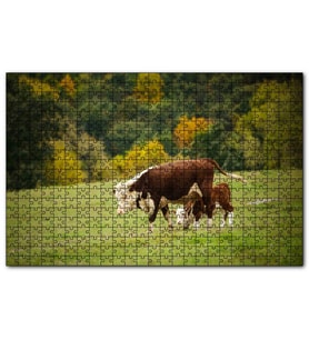 Cakapuzzle Doğada Öküz Ve Dana Koşturmacası Görseli  Puzzle Yapboz MDF (Ahşap) (255 Parça)
