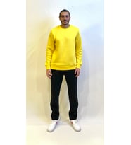 Erkek Bisiklet Yaka Rahat Kalıp 3 iplik İçi Polarlı Kalın Sweatshirt SPR24SW36 (Sarı)