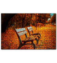 Cakapuzzle Kızıl Sonbahar Yaprakları ve Boş Banklar  Puzzle Yapboz MDF (Ahşap) (500 Parça)
