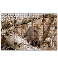 Cakapuzzle Ormanda Ağaçlar Arasındaki Yavru Tilki  Puzzle Yapboz MDF (Ahşap) (1000 Parça)