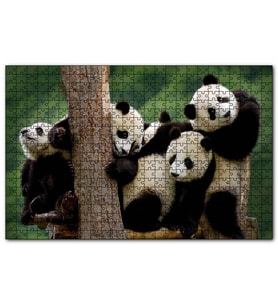 Cakapuzzle Sevimli Panda Yavruları  Puzzle Yapboz MDF (Ahşap) (255 Parça)
