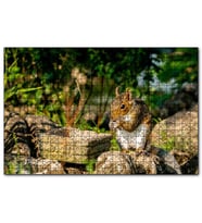 Cakapuzzle Taşların Üzerindeki Sevimli Küçük Sincap  Puzzle Yapboz MDF (Ahşap) (255 Parça)
