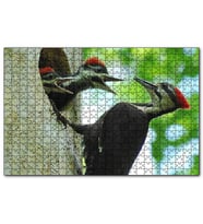 Cakapuzzle Ağaçkakan ve Yuvada Aç Yavruları  Puzzle Yapboz MDF (Ahşap) (1000 Parça)