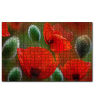 Cakapuzzle Kırmızı Gelincikler Yakın Çekim  Puzzle Yapboz MDF (Ahşap) (255 Parça)