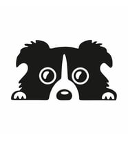 Köpek Araba Sticker siyah 19x11 CM (Siyah)