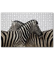 Cakapuzzle Yanyana Bir Çift Zebra  Puzzle Yapboz MDF (Ahşap) (500 Parça)