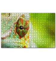 Cakapuzzle Bukalemun Gözü Yakın Çekim Flu Arkaplan  Puzzle Yapboz MDF (Ahşap) (500 Parça)