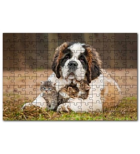 Cakapuzzle Çayırda Sen Bernard Kucağında Yavru Kediler Puzzle Yapboz MDF (Ahşap) (1000 Parça)