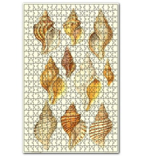 Cakapuzzle Eski Deniz Kabukları Çeşitleri Görseli Puzzle Yapboz MDF (Ahşap) (1000 Parça)