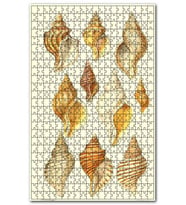 Cakapuzzle Eski Deniz Kabukları Çeşitleri Görseli Puzzle Yapboz MDF (Ahşap) (1000 Parça)