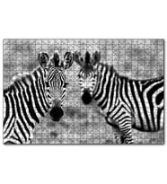 Cakapuzzle İki Sevimli Zebra Görseli  Puzzle Yapboz MDF (Ahşap) (255 Parça)