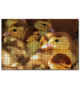 Cakapuzzle Ördek Yavruları  Puzzle Yapboz MDF (Ahşap) (500 Parça)