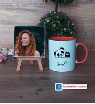 Sevimli Panda Fotoğraflı Dekoratif Taş, Kupa Bardak Beyaz Hediye (Model 13)