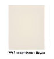 Bambu Su Bazlı Her Zemin Boyası 1Lt (Kemik Beyazı)