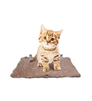 Barış Dizayn Peluş Kedi Basamağı Peluş Raf Duvar Kedi Yolu Parkur 3lü set 2 Renk(30-40-50cm) (Kahverengi)