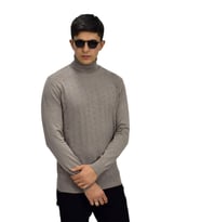 Erkek Spor Balıkçı Yaka Kazak R22507 BGL-ST03177 (Taş)
