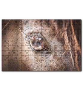 Cakapuzzle Kahverengi Atın Gözü Yakın Çekim Puzzle Yapboz MDF (Ahşap) (500 Parça)