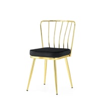 Modern Mutfak Cafe Bahçe Sandalyesi Buse 2 Li Set (Bronz)