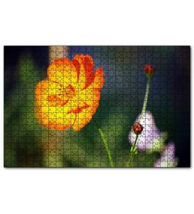 Cakapuzzle Yabani Portakal Çiçeği  Puzzle Yapboz MDF (Ahşap) (1000 Parça)
