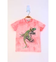 Toontoy Erkek Çocuk Batik Desenli Kertenkele Baskılı Tişört (Nar Çiçeği)