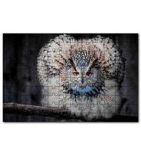 Cakapuzzle Daldaki Kartal Baykuşu ve Muhteşem Tüyleri Puzzle Yapboz MDF (Ahşap) (255 Parça)