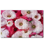 Cakapuzzle Pembeli Beyazlı Kapriz Çiçeği Görseli  Puzzle Yapboz MDF (Ahşap) (500 Parça)
