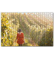 Cakapuzzle Şarap Üreticisi Kadın Üzüm Bağlarında Görsel  Puzzle Yapboz MDF (Ahşap) (255 Parça)