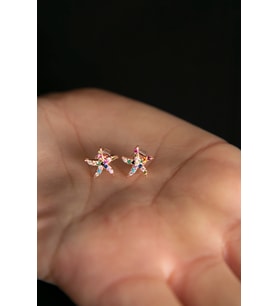 Elika Silver Kadın Renkli Taşlı Yıldız Model 925 Ayar Gümüş Küpe (Rose)