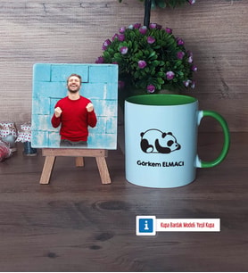 Uykucu Panda Fotoğraflı Dekoratif Taş, Kupa Bardak Beyaz Hediye (Model 14)