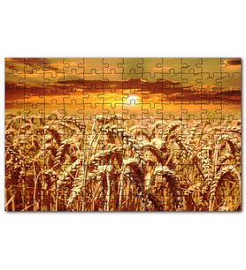 Cakapuzzle Eğilmiş Buğday Başakları ve Günbatımı Puzzle Yapboz MDF (Ahşap) (500 Parça)