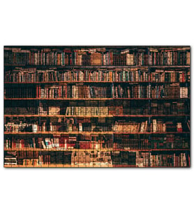 Cakapuzzle Zengin Kitaplık  Puzzle Yapboz MDF (Ahşap) (500 Parça)