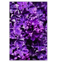 Cakapuzzle Lila Çiçek Puzzle Yapboz MDF (Ahşap) (255 Parça)