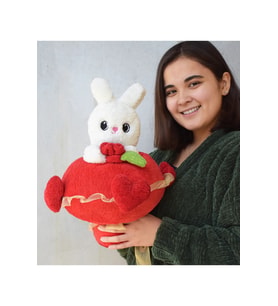 Peluş Ayıcık Sevgi Buketi (Kırmızı-Kırmızı)