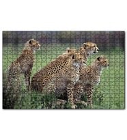 Cakapuzzle Yavrularına Eğitim Veren Anne Çita Puzzle Yapboz MDF (Ahşap) (1000 Parça)