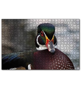 Cakapuzzle Yeşil Başlı Ördek Yakın Plan  Puzzle Yapboz MDF (Ahşap) (255 Parça)