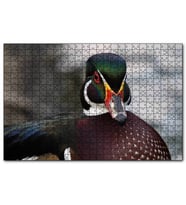 Cakapuzzle Yeşil Başlı Ördek Yakın Plan  Puzzle Yapboz MDF (Ahşap) (255 Parça)