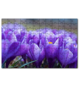 Cakapuzzle Eflatun Renkli Çiçekler Yakın Çekim Puzzle Yapboz MDF (Ahşap) (500 Parça)