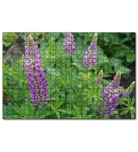 Cakapuzzle Acı Bakla Çiçeği ve Yaprakları  Puzzle Yapboz MDF (Ahşap) (255 Parça)