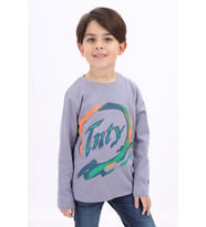 Toontoy Erkek Çocuk Baskılı Tişört (Gri)