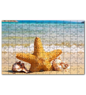 Cakapuzzle Deniz Yıldızı Deniz Kabukları Berrak Kumsal Puzzle Yapboz MDF(Ahşap) (500 Parça)