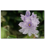 Cakapuzzle Sümbül Yakın Plan  Puzzle Yapboz MDF (Ahşap) (500 Parça)