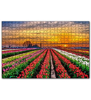 Cakapuzzle Hollanda'da Günbatımı ve Lale Tarlaları  Puzzle Yapboz MDF (Ahşap) (255 Parça)