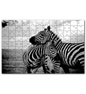 Cakapuzzle Anne Zebra ve Yavrusu Siyah Beyaz Puzzle Yapboz MDF (Ahşap) (1000 Parça)