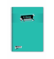 Kareli 60 Yaprak Spiralli Defter A4 Boy Plastik Kapak (1 Adet ) (Açık Yeşil)