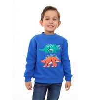 Toontoy Erkek Çocuk Nakışlı Sweatshirt (Saks)