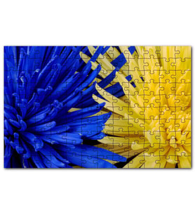 Cakapuzzle Sarı ve Mavi Çiçekler Yanyana Yakın Çekim Puzzle Yapboz MDF (Ahşap) (500 Parça)