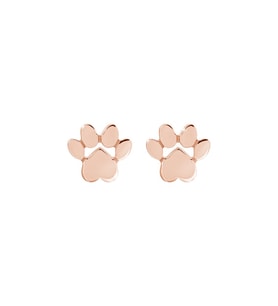 Kişiye Özel 925 Ayar Gümüş Pati Küpe (Rose)
