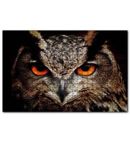 Cakapuzzle Kırmızı Gözlü Baykuş Yakın Çekim  Puzzle Yapboz MDF (Ahşap) (500 Parça)